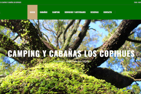 Camping Los Copihues